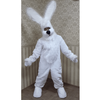 Заяц белый с открытым лицом